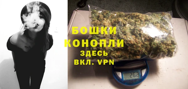 гидра Кодинск
