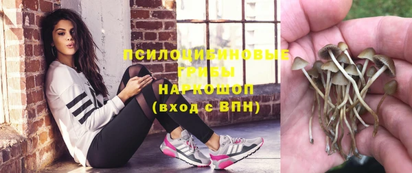 амф Костерёво